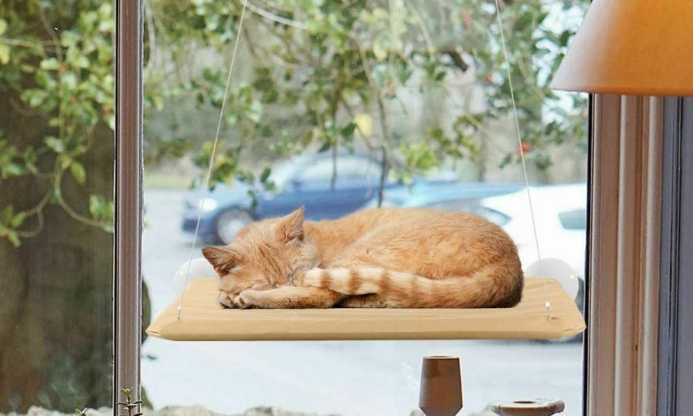 cama de ventana con ventosas para gatos
